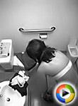 Guy setup a camera in the girls dressing room