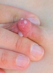 Cutie lactating and spreading